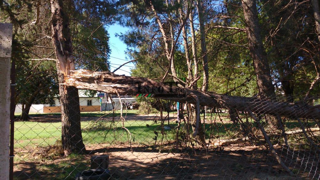 98b61987-a836-4c7b-b888-73b9d829f2a0