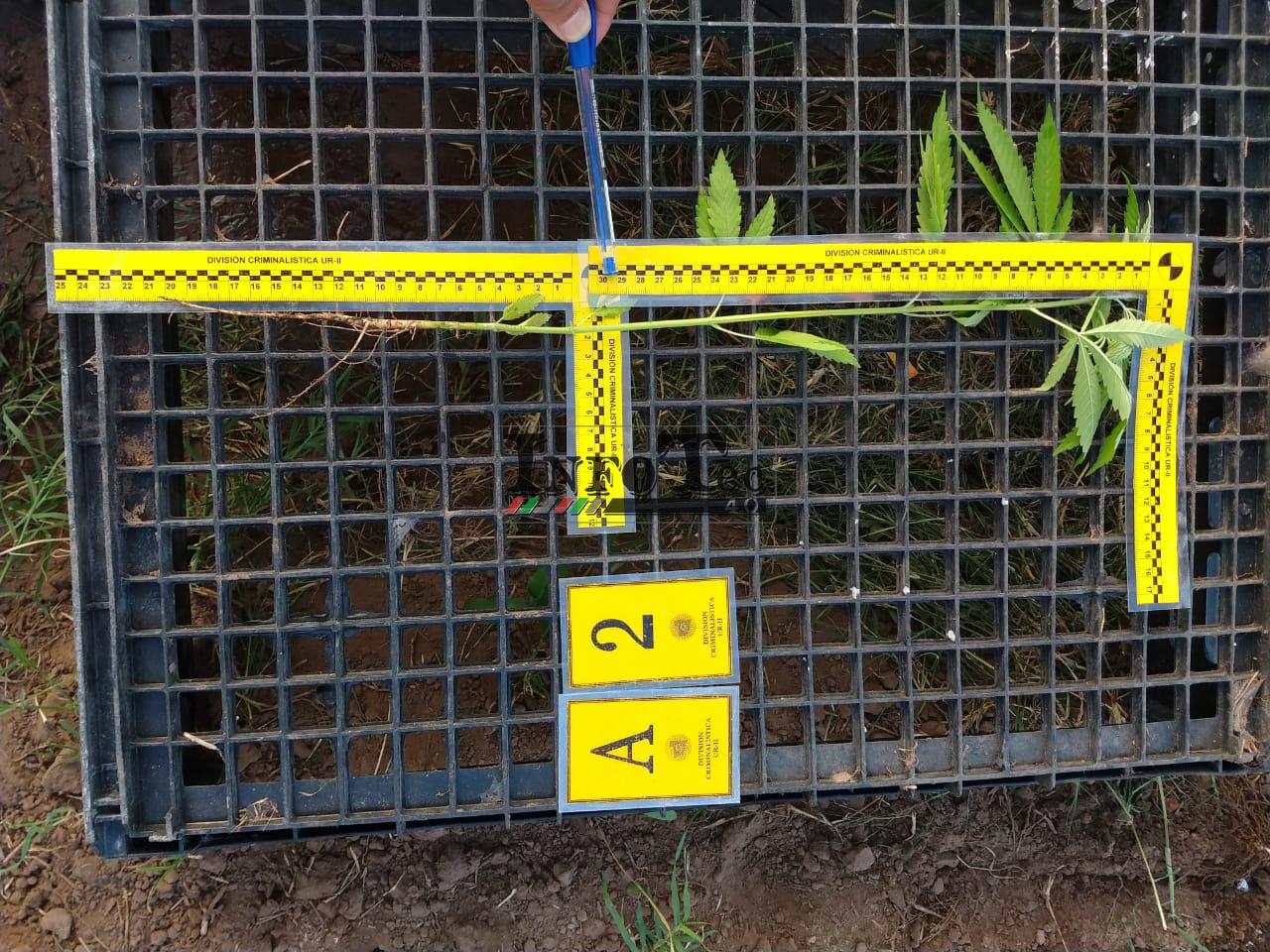 b68a5234-3748-45dc-b78a-e8effbec99d3