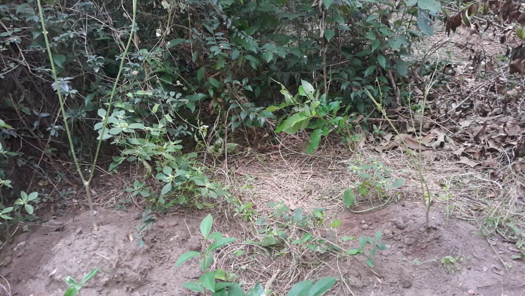 54fad9fa-9bb0-42db-a40b-a833a68c23b3