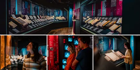 testigos de jehova biblias