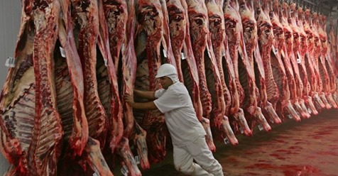carne