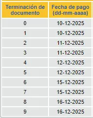 autoridades elecciones 2025