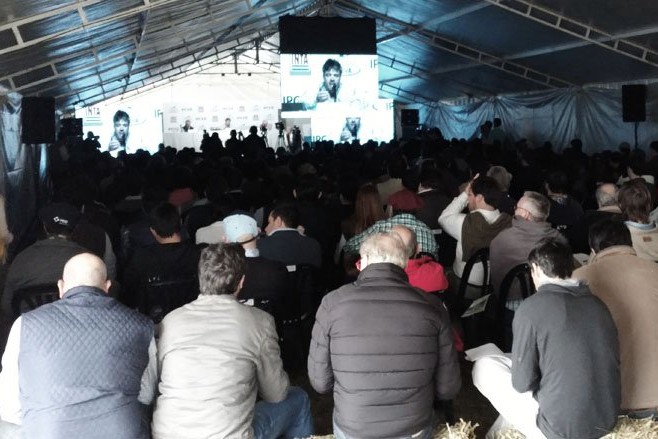 CHITO FORTE SEMINARIO IPCVA