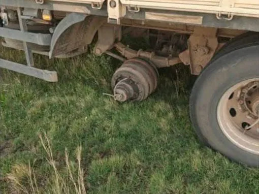 WhatsApp Image 2025-02-02 at 12.08.35 PM (1)