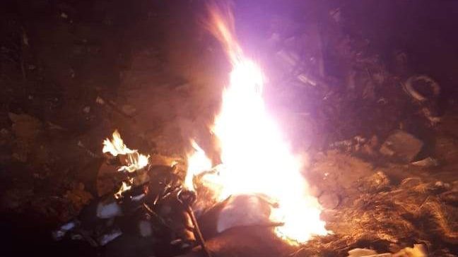 DECOMISO CIERVO Y ANTILOPE