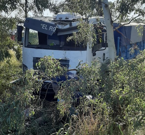 multimedia.miniatura.ae6e070632c5815a.494d472d32303230303232392d5741303031385f6d696e6961747572612e6a7067