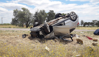 multimedia.miniatura.912cc6dac8c4b29a.627261736261727675656c636f32355f6d696e6961747572612e706e67