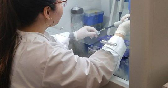 Joven viaje a Canada