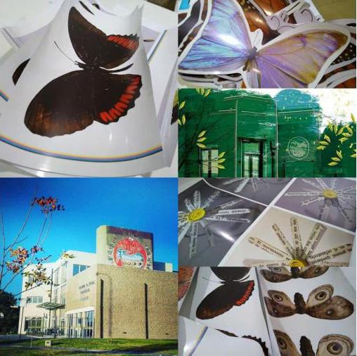 113741_5f64acbfb6b1b