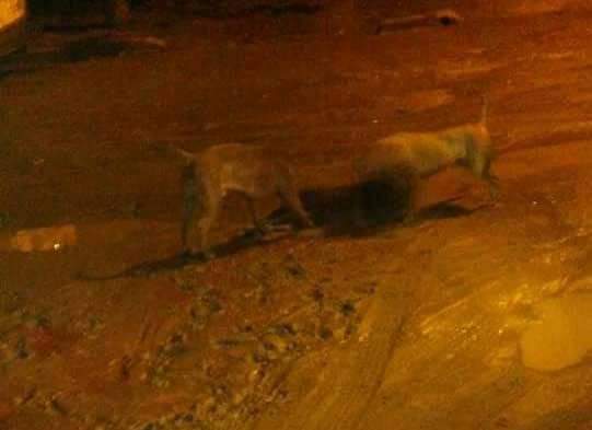 FB_IMG_1560954653082