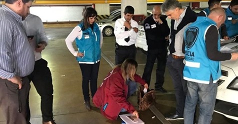 pornografia pediatra Garraham