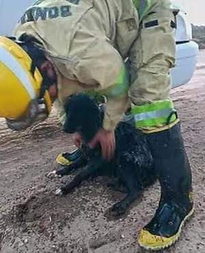 FB_IMG_1562937461565