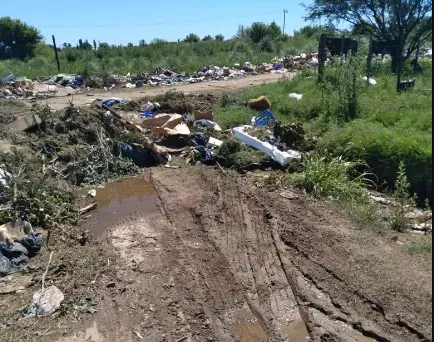 bASURA REALICO RECORTADA.webp