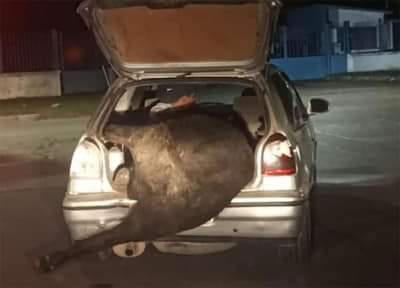 FB_IMG_1620737339444