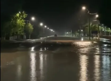 temporal puelen