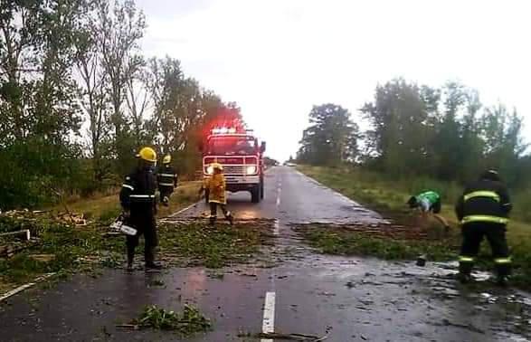 FB_IMG_1608904614866