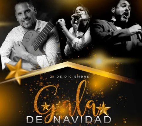 Gala de Navidad 25