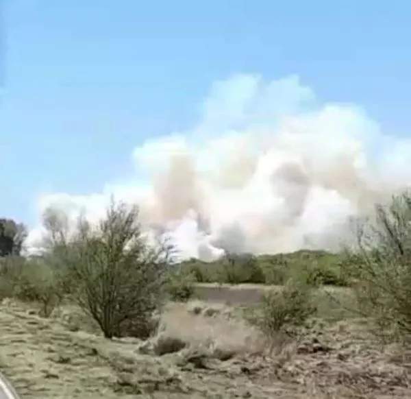Fuego RP) 1