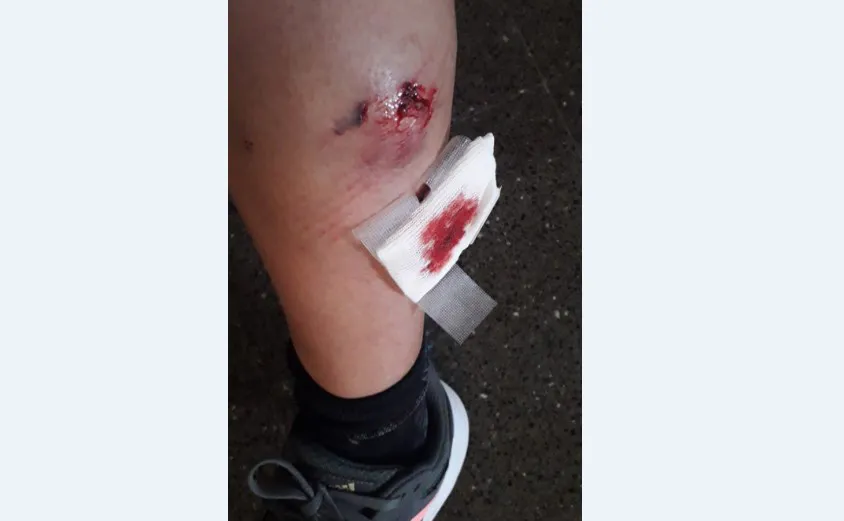 marina alcaraz portada