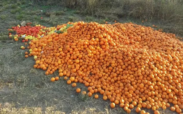 FRUTA DECOMISADA