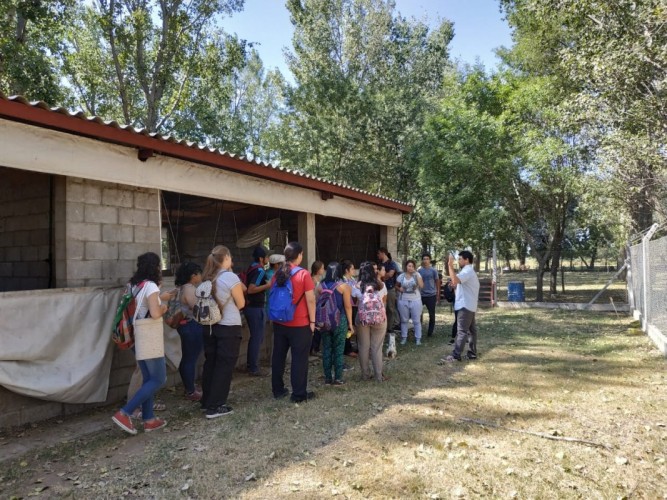 IMG-20190219-WA0131-fit-667x500