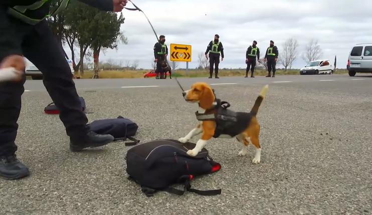 operativo narcotrafico 2