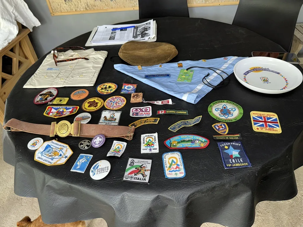 boy scout realico 1 FILE