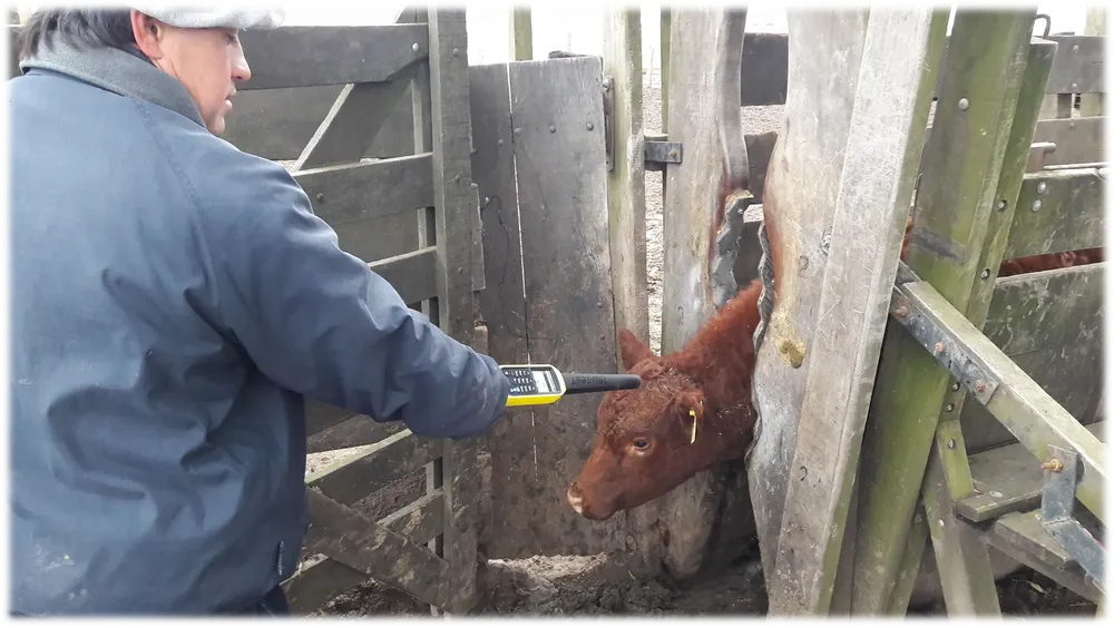 imagen_2024-04-10_001323791