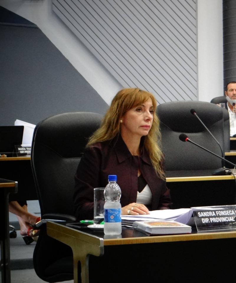 Sandra Fonseca diputada