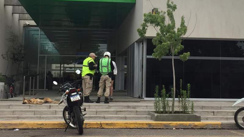 violación de perimetral