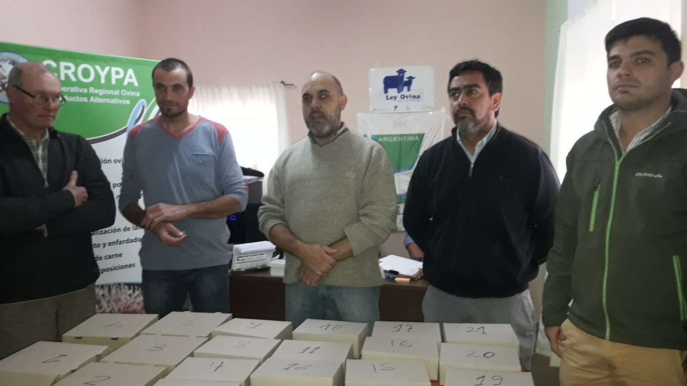 VENTA DE LANA PORLICITACIÓN CROYPA ASOPROMA 009 (FILEminimizer)