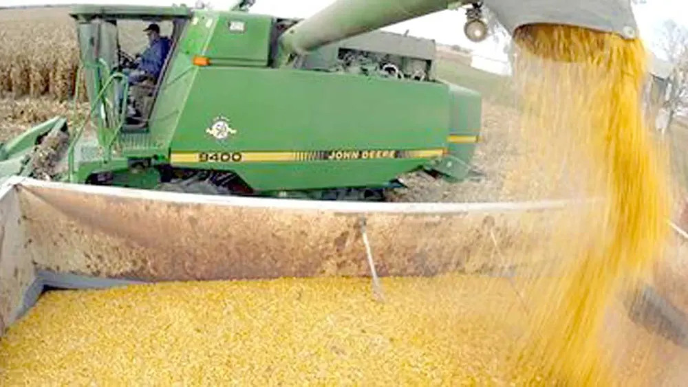 Cosecha-Maiz1