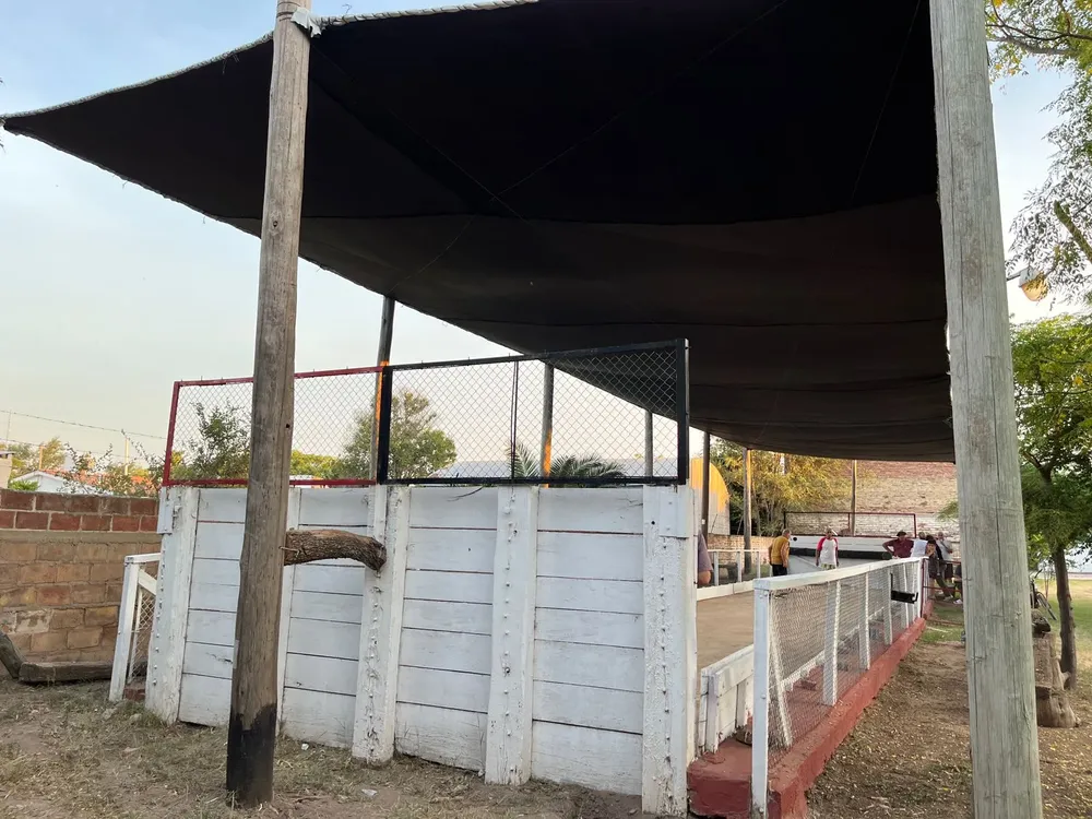 e3a11001-19cf-48c8-9d5c-9f2047c91004