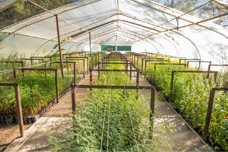 284035_whatsapp-image-2022-03-29-at-13.01.12