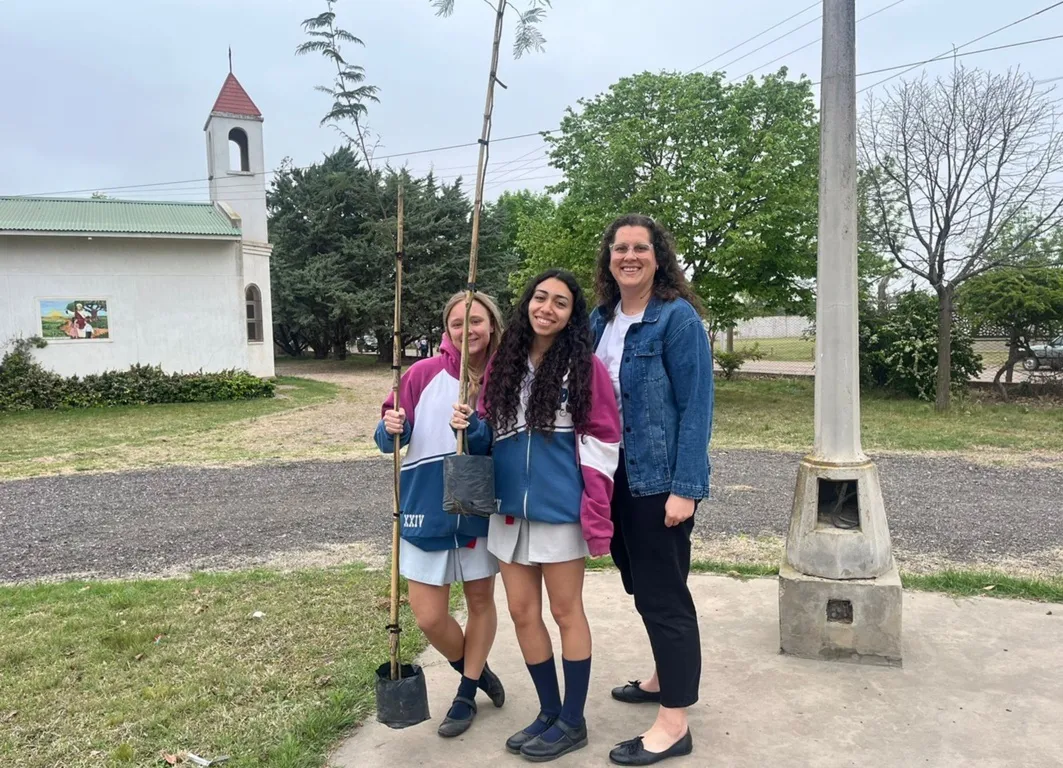 IPSF ARBOLES 7 (FILEminimizer)