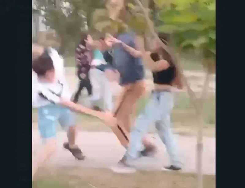 fiesta dle trigo pelea varones