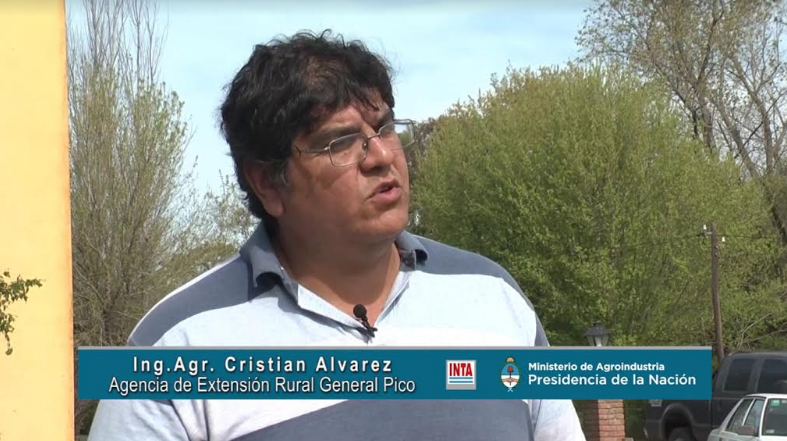 CRISTIAN ALVAREZ PROARA