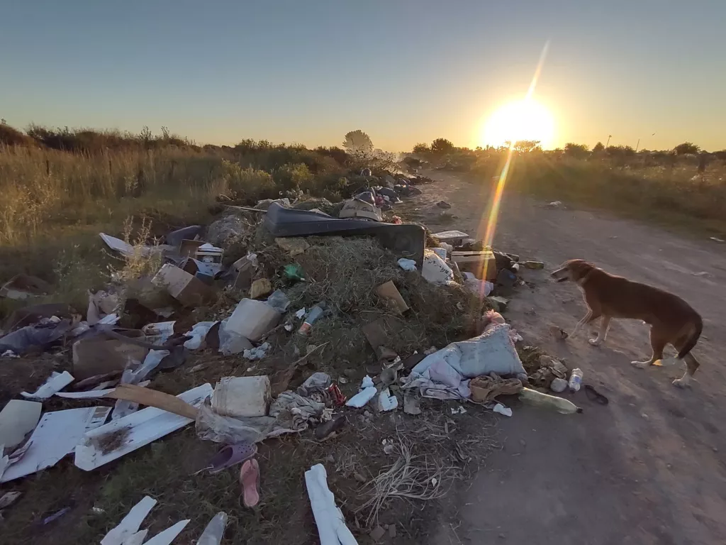 IMG_20220209_195301535_HDR (FILEminimizer)