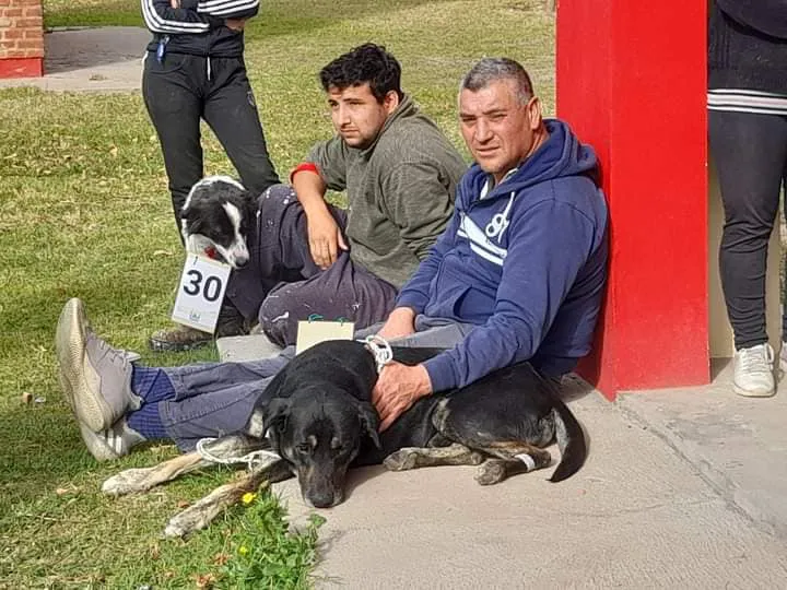 castración mascotas 2