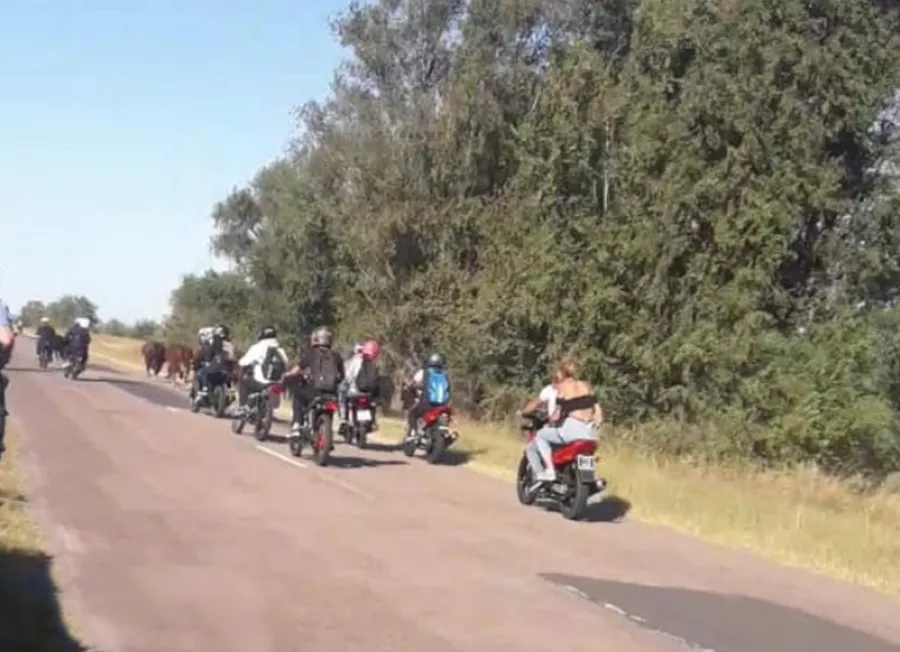 MOTOS