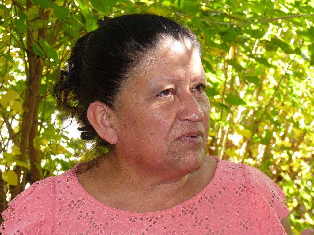 P1350691 (FILEminimizer)