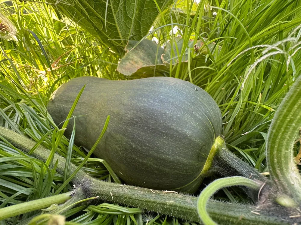 C67F6E38-2309-4862-84B3-64961D3A3E37