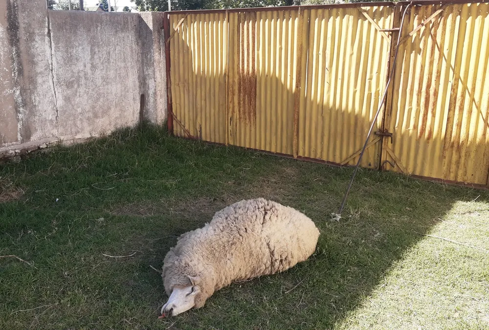 d4115104-a5ac-4dc9-a4ca-41bd64ef1ee1