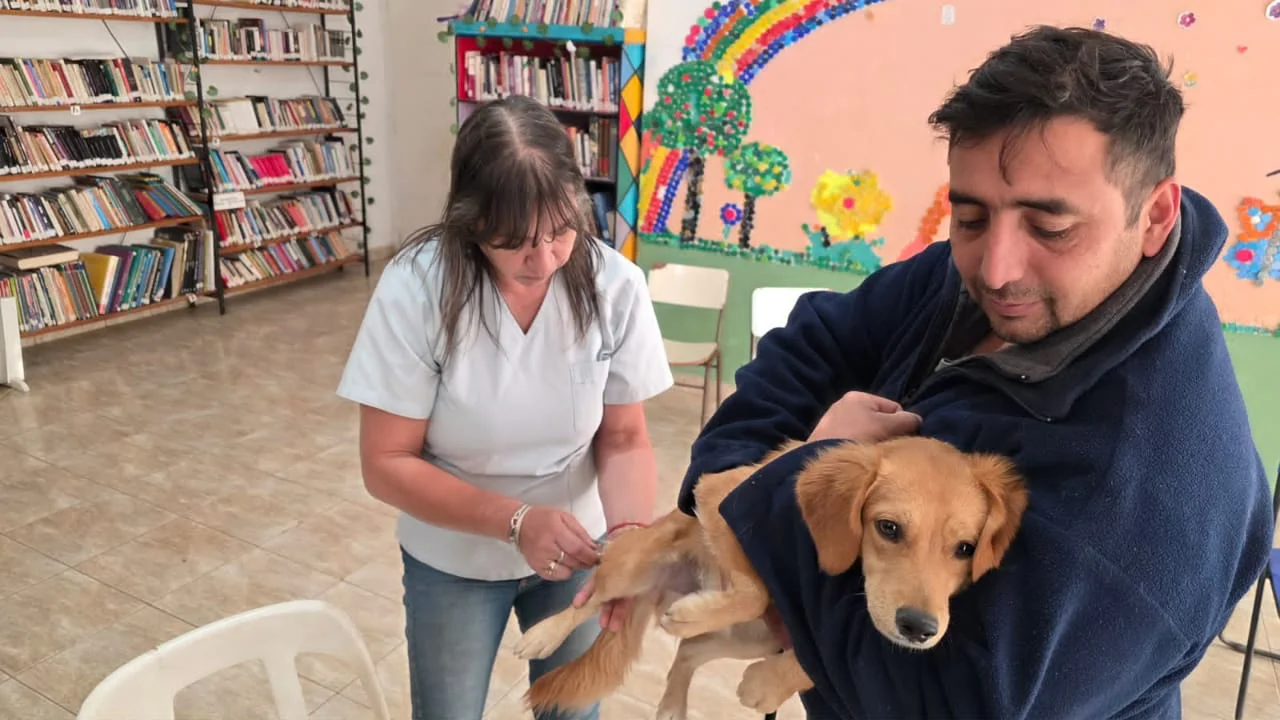 VACUNACION ANTIRRABICA