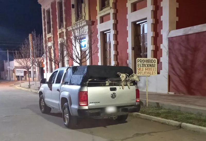 amarok caza 2