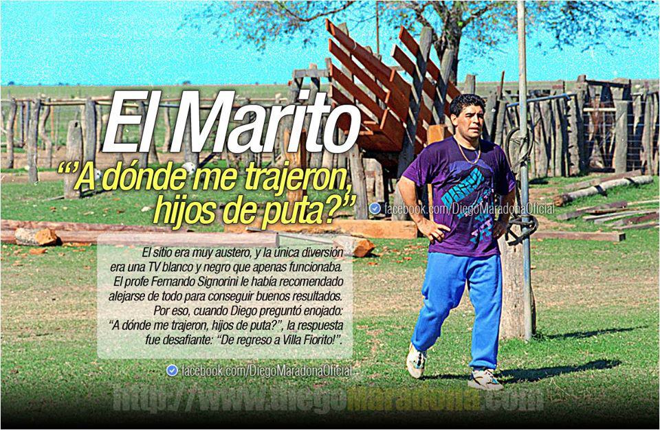 maradona oficial