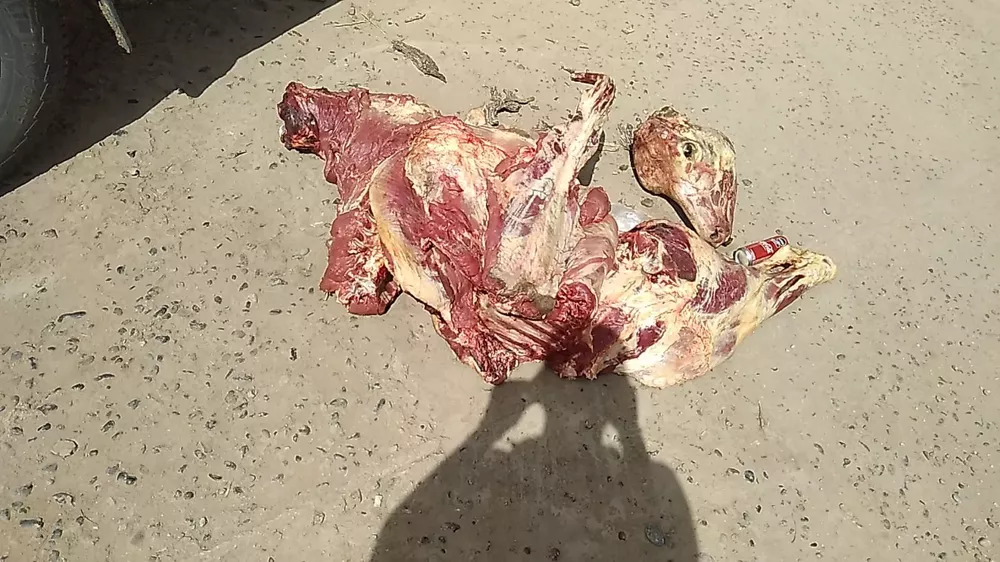 aa a carne secuestrada