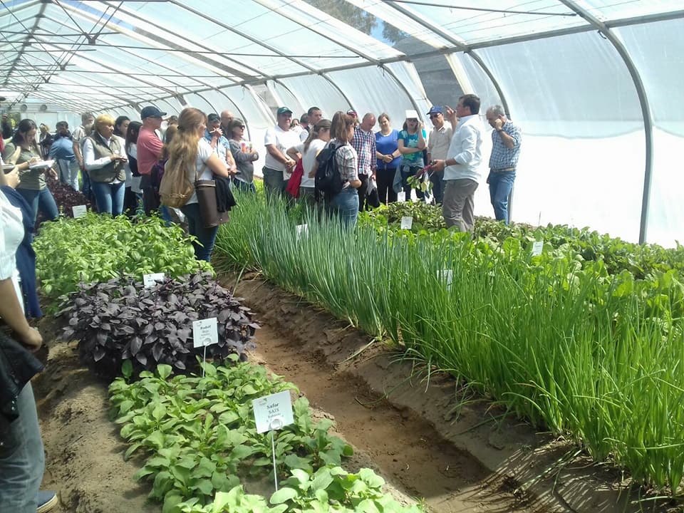 jornada-horticola-ceret-inta1