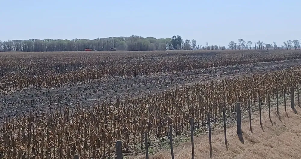 incendio rastrojo maiz