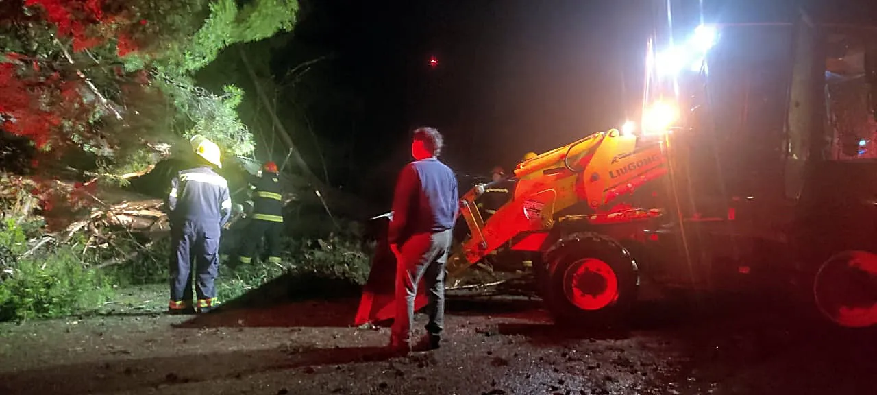 pinos acceso embajador